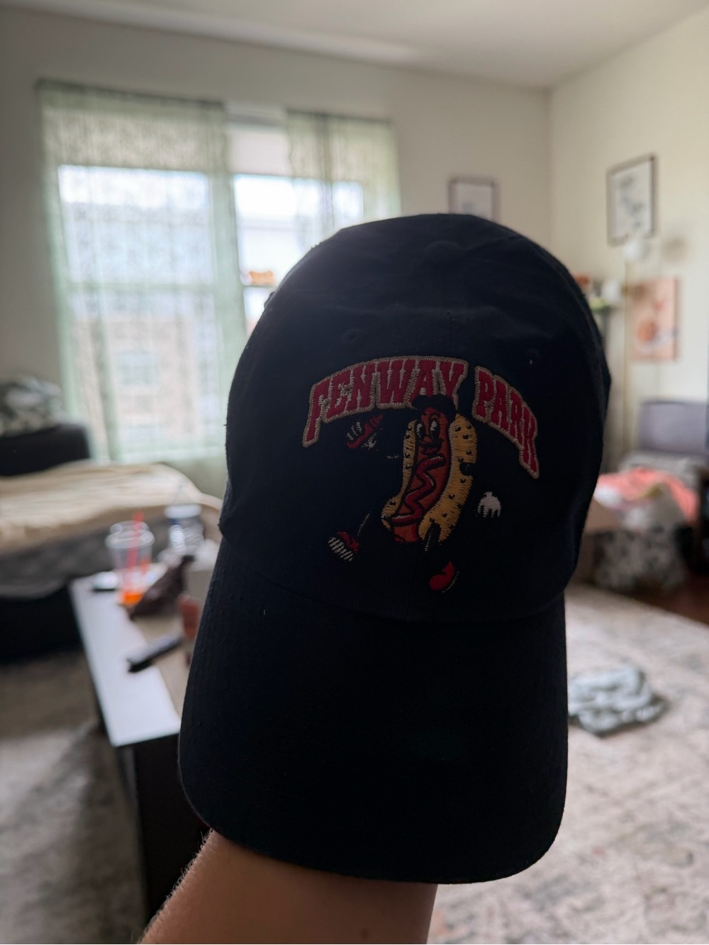Fenway Park Black Baseball Cap with Embroidered Hot Dog Graphic